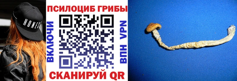 MEGA сайт  где найти наркотики  Октябрьский  Галлюциногенные грибы Psilocybine cubensis 
