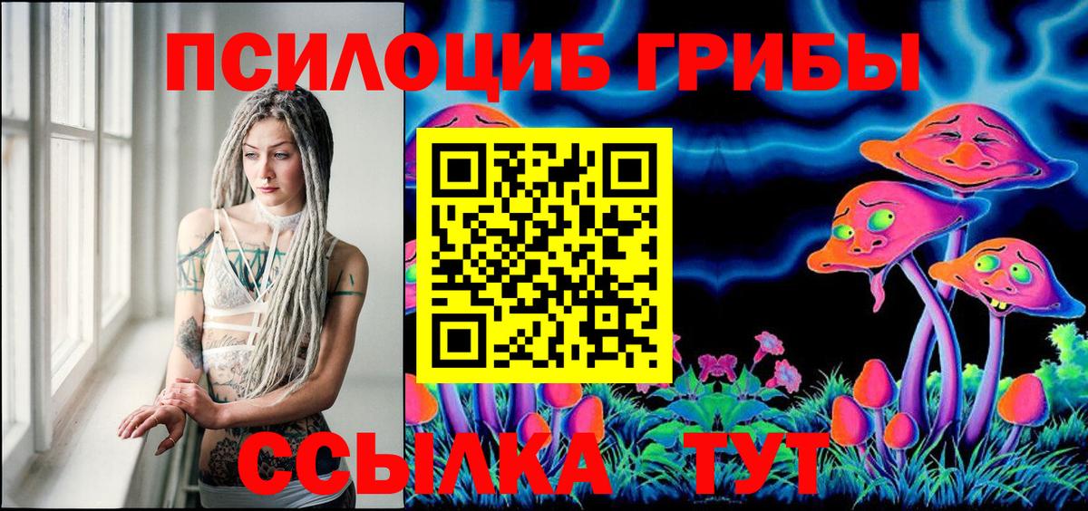 Псилоцибиновые грибы Cubensis Октябрьский