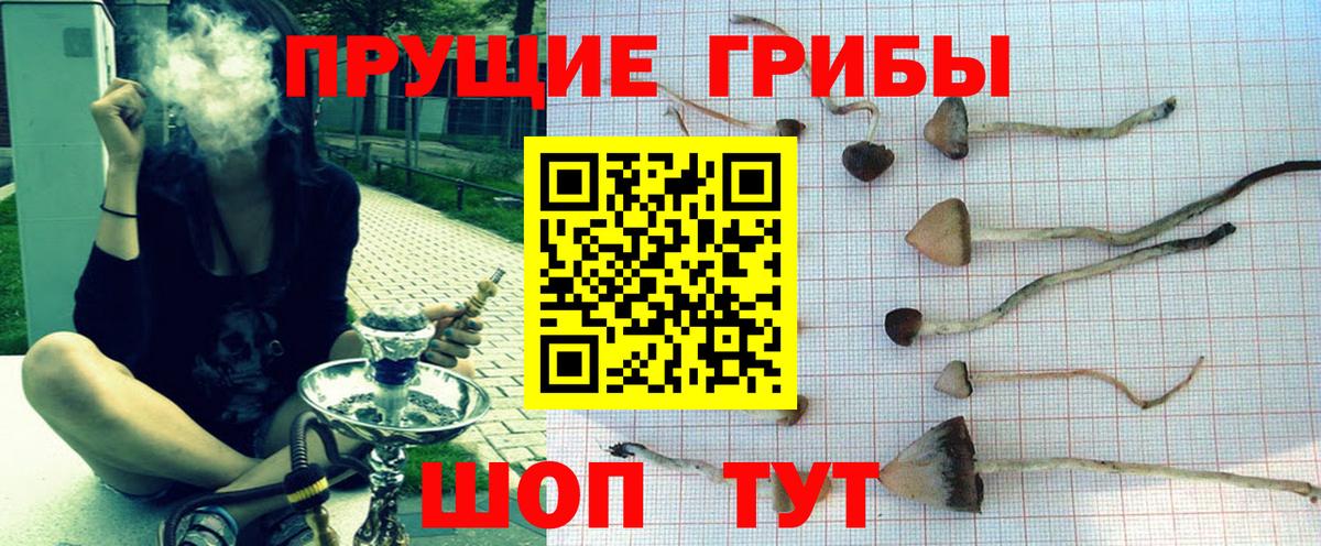 Псилоцибиновые грибы Magic Shrooms  Вход с VPN  Октябрьский  Псилоцибиновые грибы Magic Shrooms 